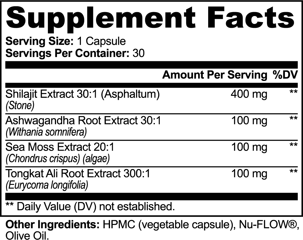 Dynamic Fitness Shilajit Adaptogen Complex