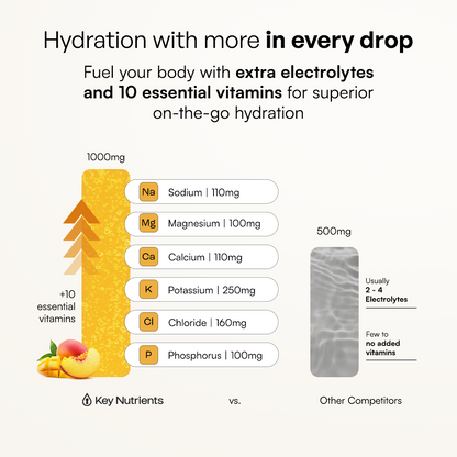 Electrolyte Recovery Plus Powder (Sugar-Free)