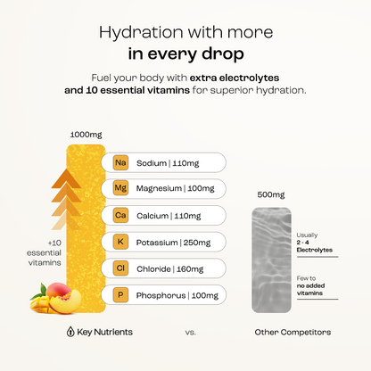 Electrolyte Recovery Plus Powder (Sugar-Free)