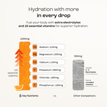 Electrolyte Recovery Plus Powder (Sugar-Free)