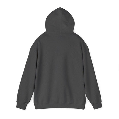 Dynamic Fitness “LIFT HEAVY.” Hoodie – Heavy Blend Pullover Hooded Sweatshirt