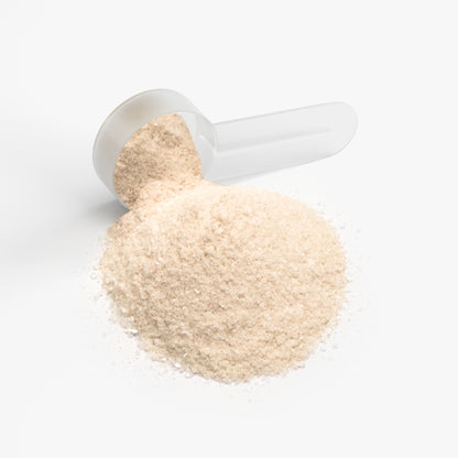 Dynamic Fitness Electrolyte Hydration Powder – Lemonade