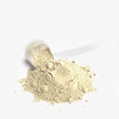 Dynamic Fitness Performance Whey Protein – Vanilla