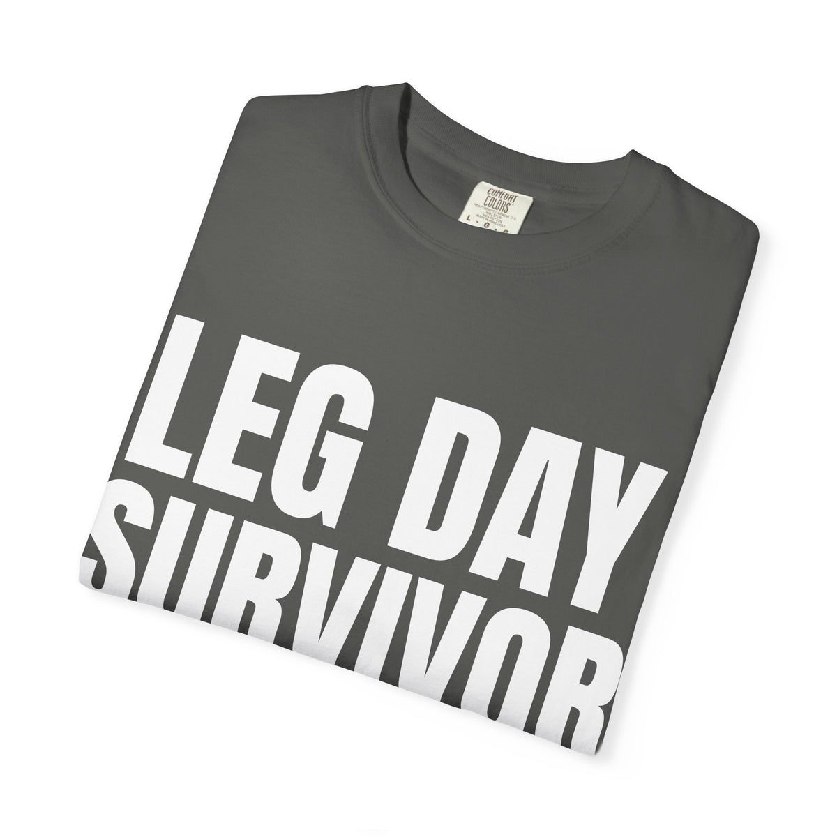 Dynamic Fitness "Leg Day Survivor" Tee – Heavyweight Garment-Dyed