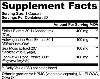 Dynamic Fitness Shilajit Adaptogen Complex