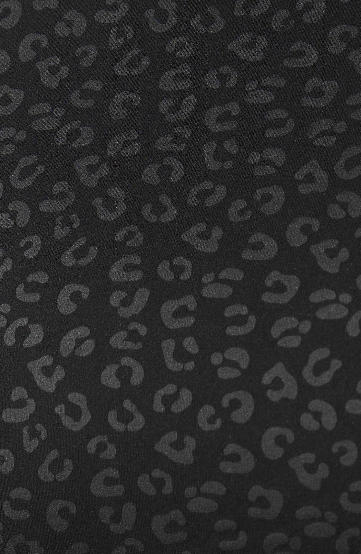 The Fierce Leggings